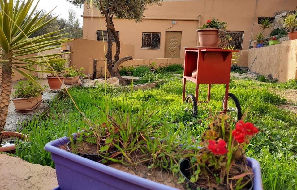 Emile Altwal Madaba Appartement Buitenkant foto